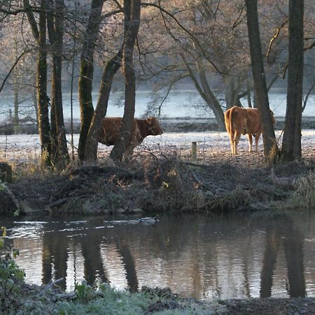 Le Gite De L Ourthe Ortheuville Exterior foto